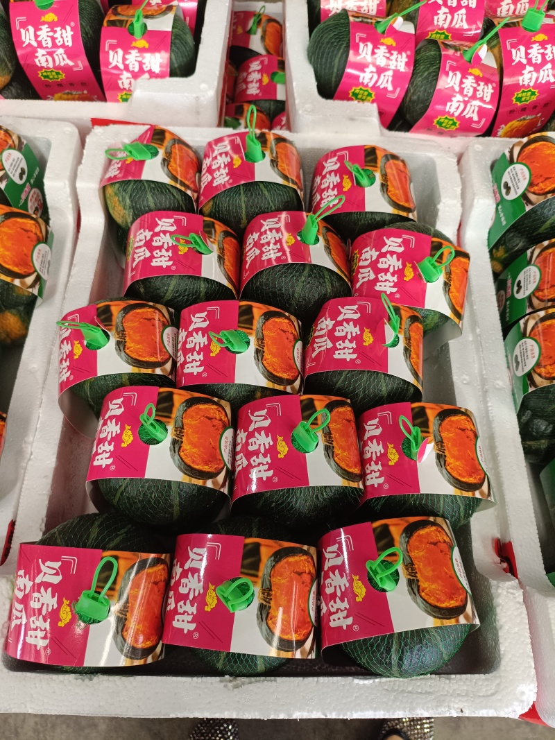自有万亩基地，贝贝南瓜一手货源，可持续稳定供货，欢迎来询