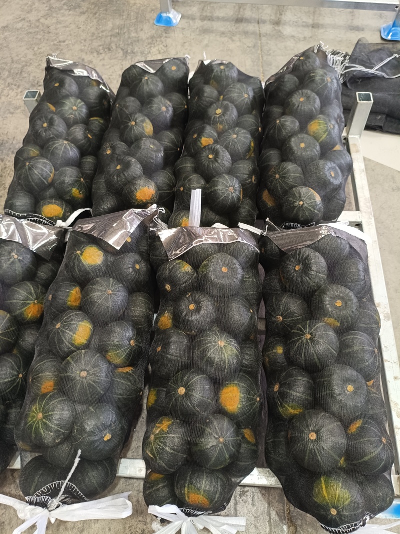 自有万亩基地，贝贝南瓜一手货源，可持续稳定供货，欢迎来询