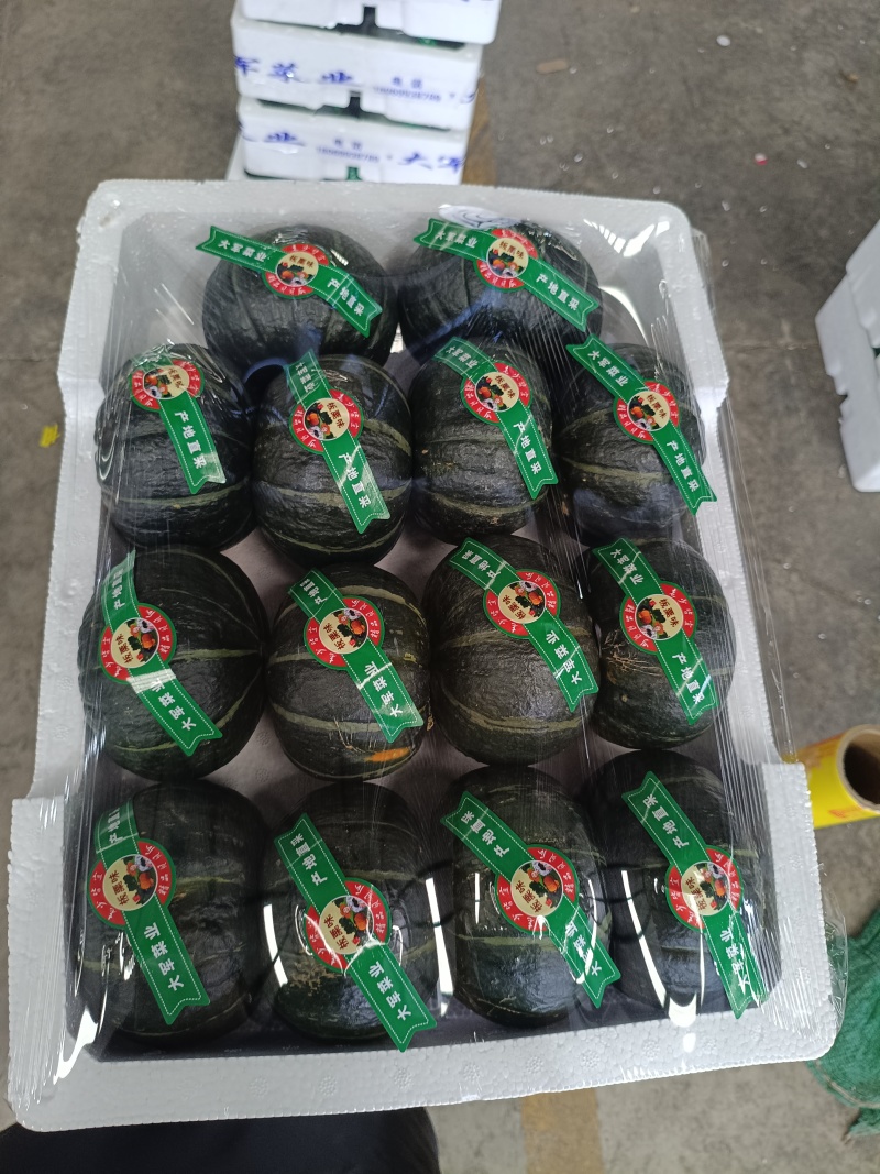自有万亩基地，贝贝南瓜一手货源，可持续稳定供货，欢迎来询