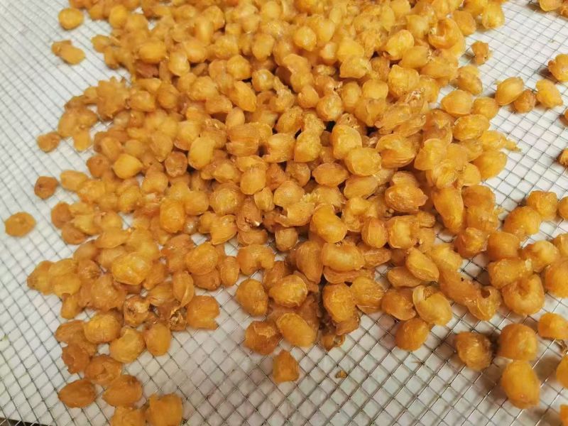 广西博白桂圆肉干