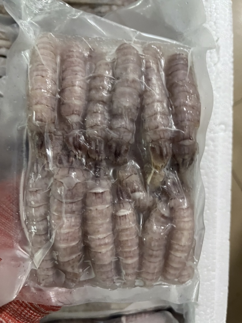 新货**皮皮虾