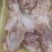 带头带脖去尾母鸡架