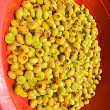鲜果刺梨