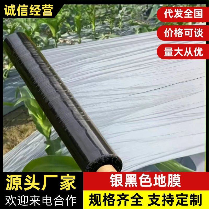 银黑地膜种植专用地膜保湿除草地膜打孔膜黑地膜白地膜