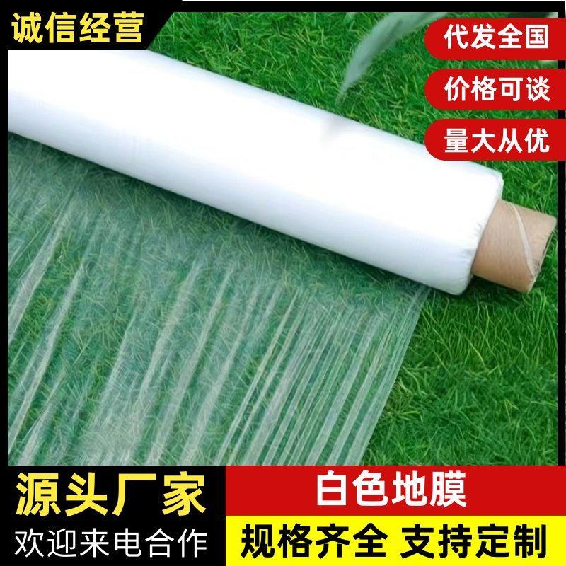 精品白地膜蔬菜水果农作物用透明白地膜山东青州厂家直销