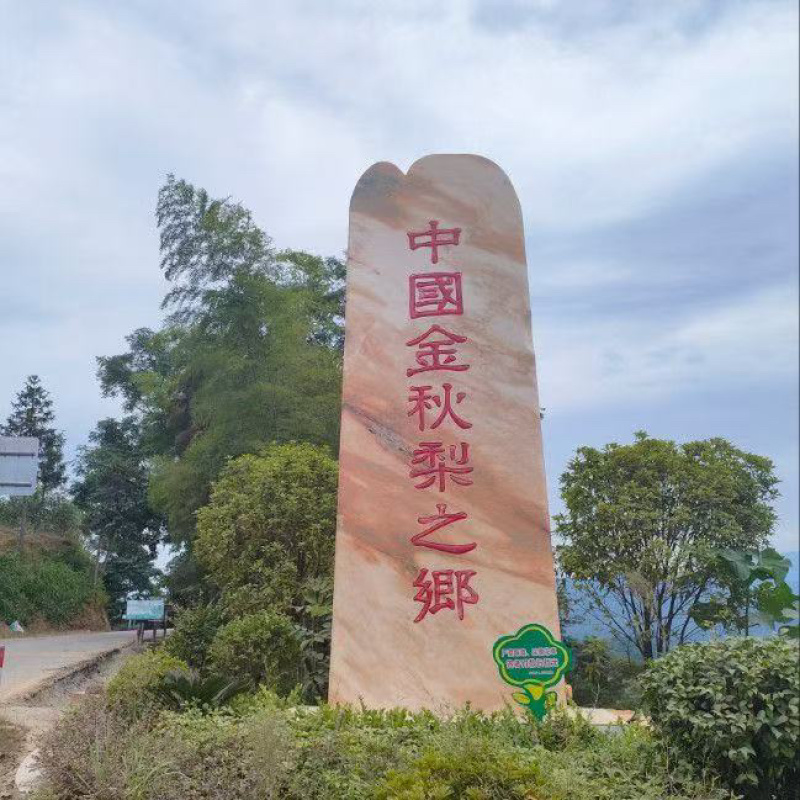 【金秋梨】精品梨湖南产地价格美丽对接全国市场商超电商视频