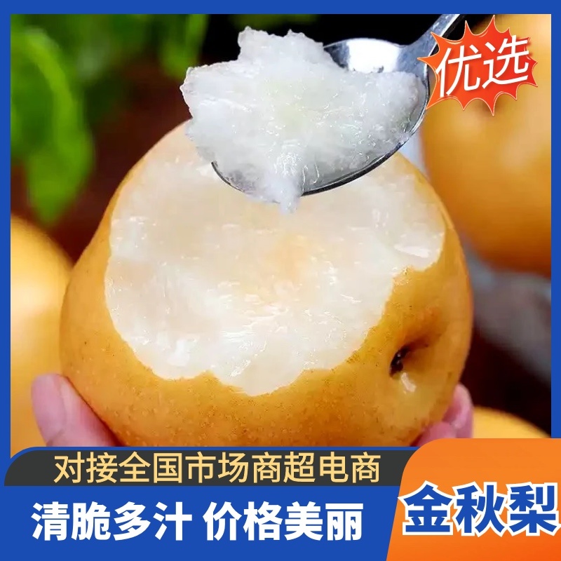 【金秋梨】精品梨湖南产地价格美丽对接全国市场商超电商视频