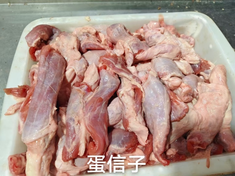 蛋信子（蓝闲子）