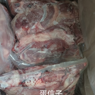 蛋信子（蓝闲子）