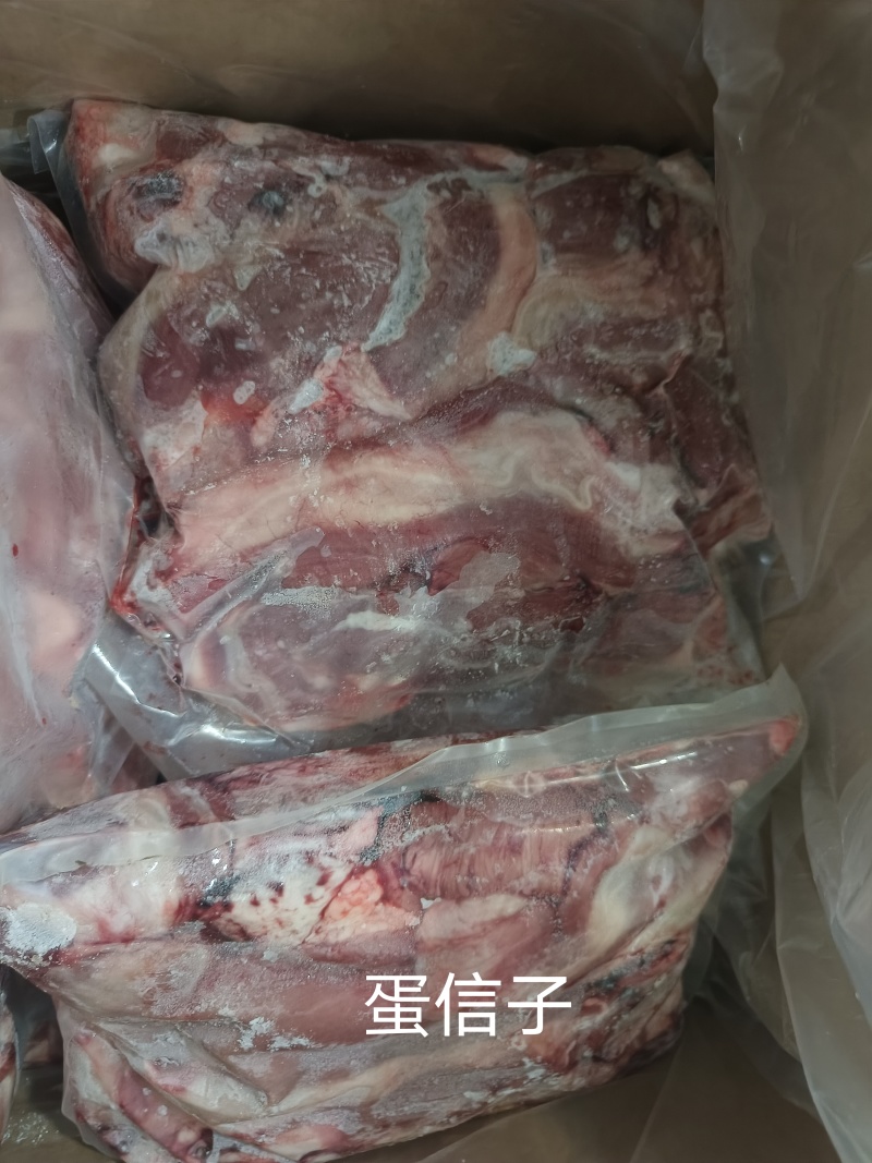 蛋信子（蓝闲子）