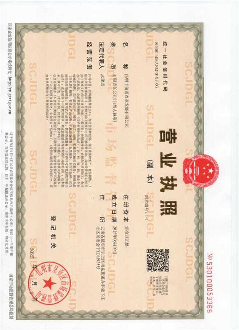 松茸鲜货