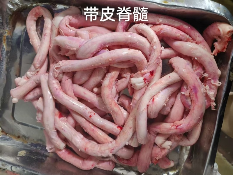 带皮牛脊髓