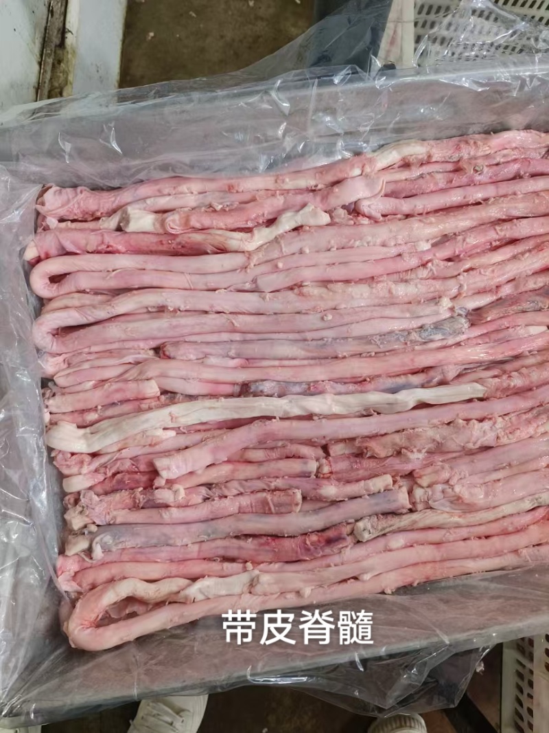 带皮牛脊髓