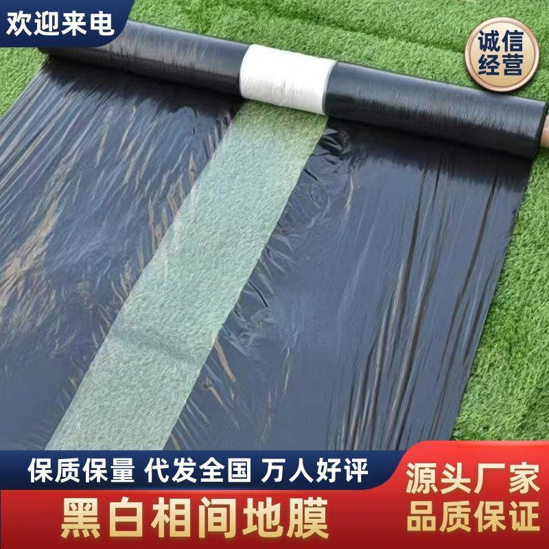 黑白相间地膜，打孔地膜，单白膜塑料薄膜，厂家直销可定制