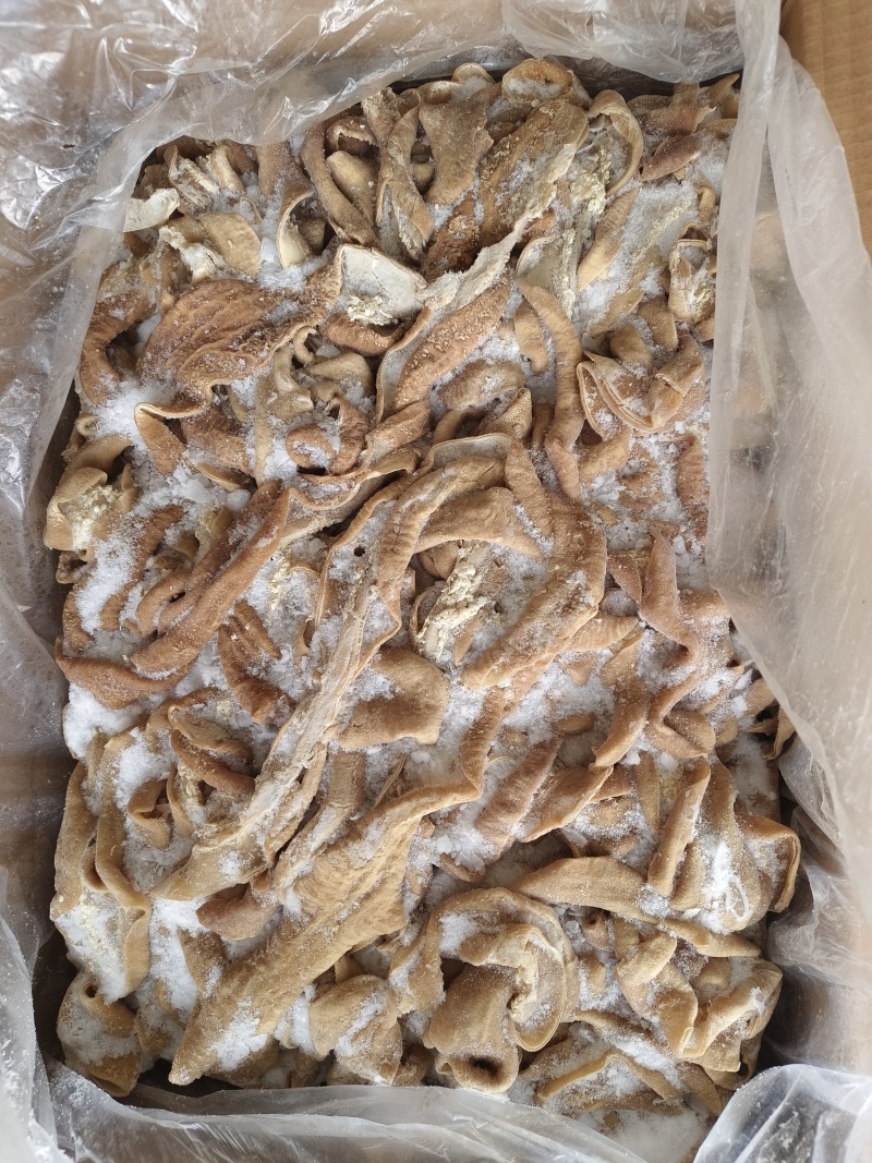 小肠片