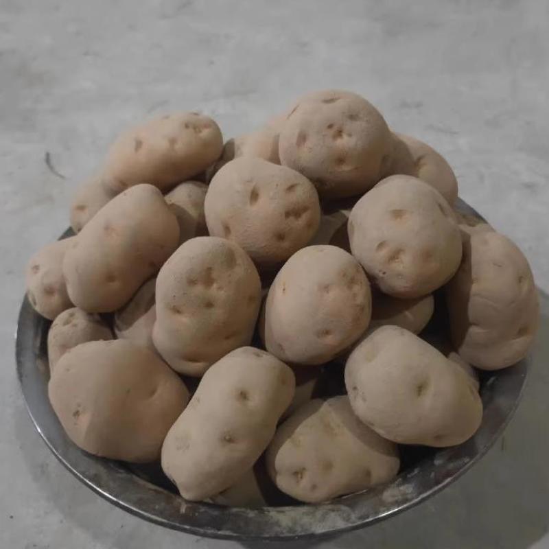正宗恩施高山农户马尔科土豆