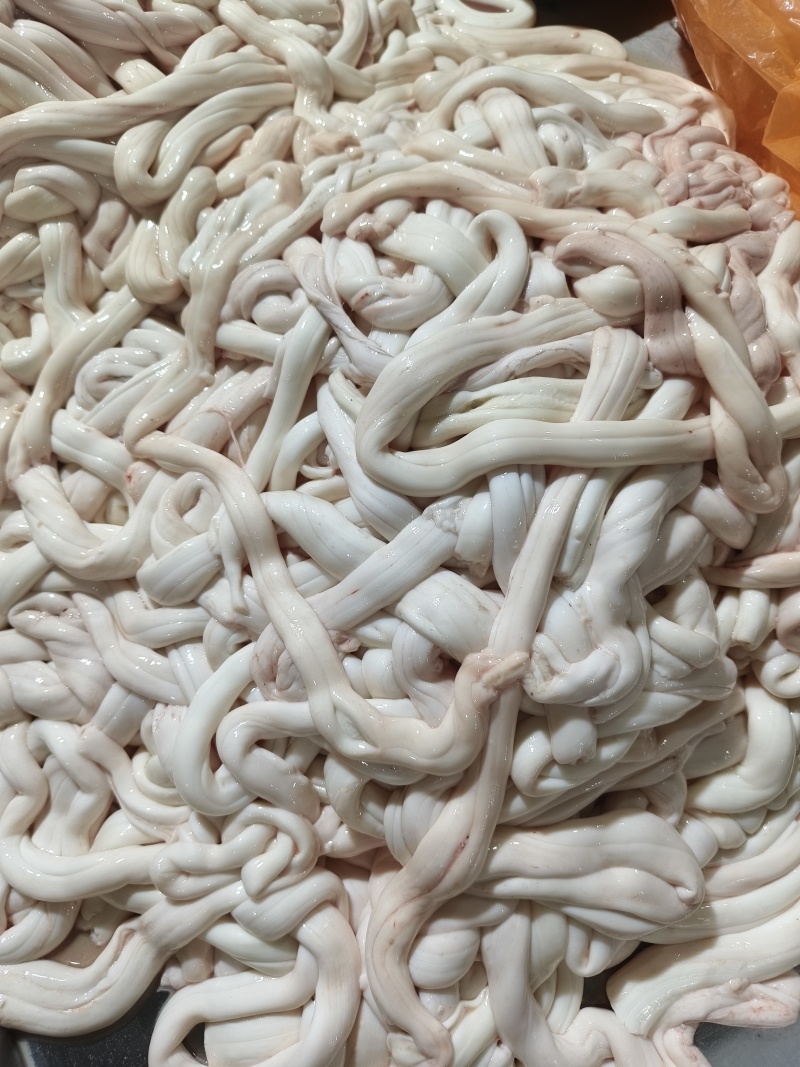 牛脊髓