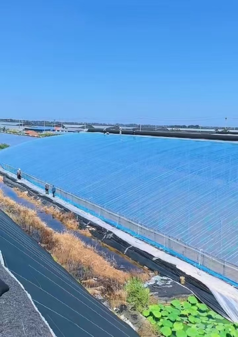 兰无滴地膜兰双防地膜定制农膜地膜大棚膜专业定制
