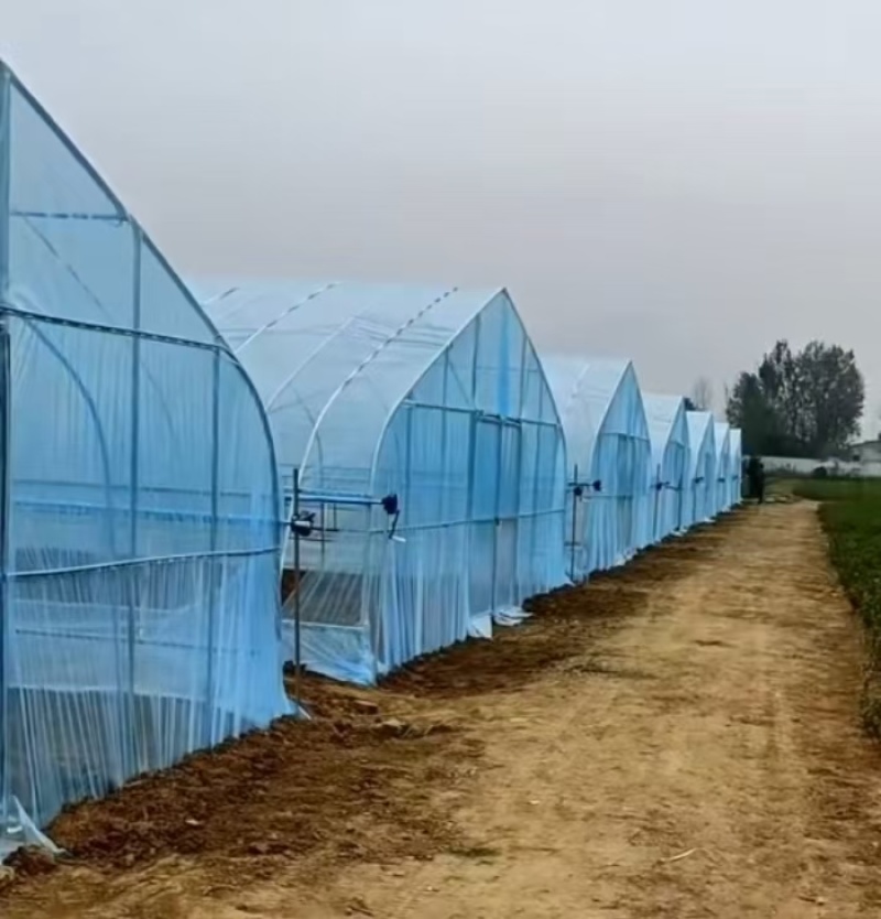 兰无滴地膜兰双防地膜定制农膜地膜大棚膜专业定制