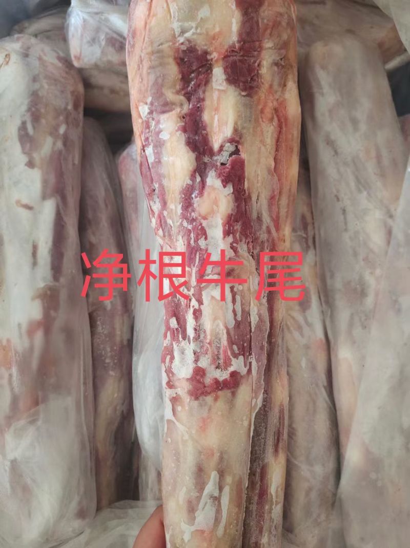 净根牛尾