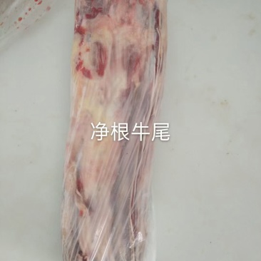 净根牛尾