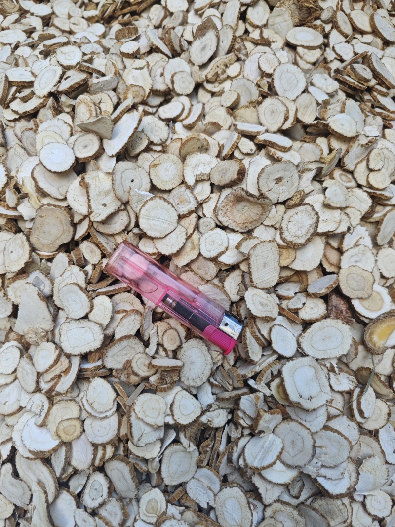 无硫白芷