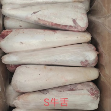 s牛舌