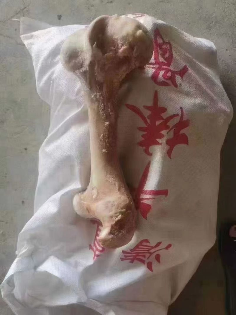 熬汤牛棒骨