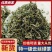 十号银丝产地直供，全国发货