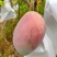 四川攀枝花凯特芒微商一件代发