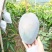 四川攀枝花凯特芒微商一件代发