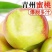 青州蜜桃，电商一件代发，美团多多仓，大型商超，5斤10。