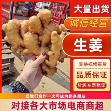 生姜鲜姜产地发货批发电商市场进出口按需