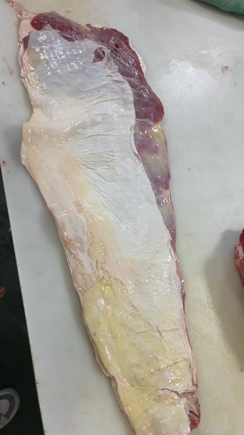 2号筋（腹腩筋）