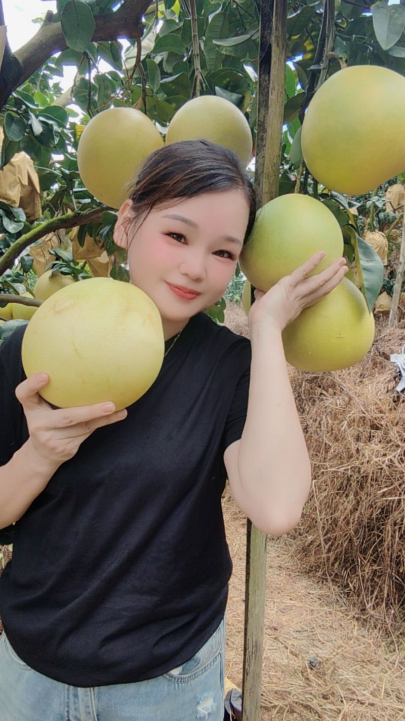 自家果园正宗容县蜜柚