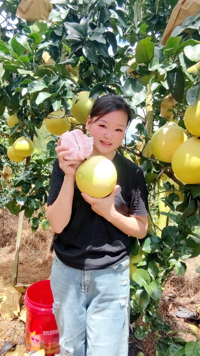 自家果园正宗容县蜜柚