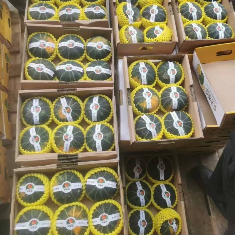 正宗贝贝南瓜老瓜进口种源档口商超出口礼盒订制全国发货