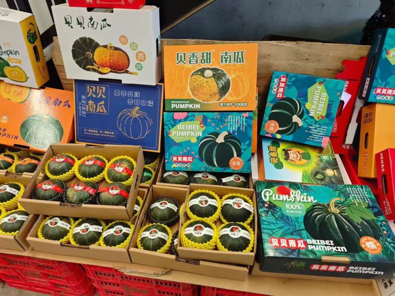 正宗贝贝南瓜老瓜进口种源档口商超出口礼盒订制全国发货