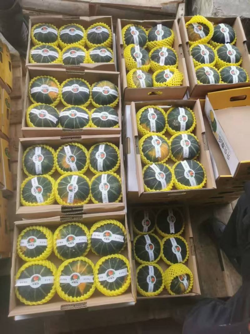 正宗贝贝南瓜老瓜进口种源档口商超出口礼盒订制全国发货