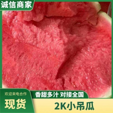 精品2K吊瓜，小西瓜产地直发小糖丸牛奶西瓜一手货源