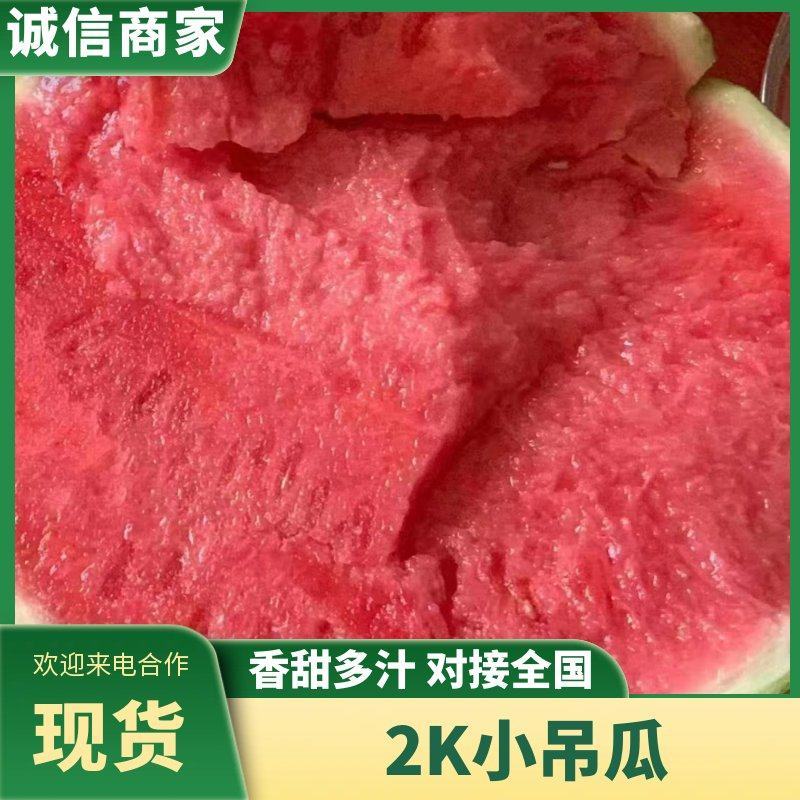 精品2K吊瓜，小西瓜产地直发小糖丸牛奶西瓜一手货源