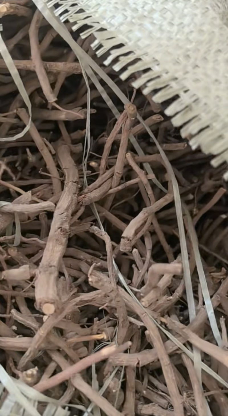 牡丹须子须段