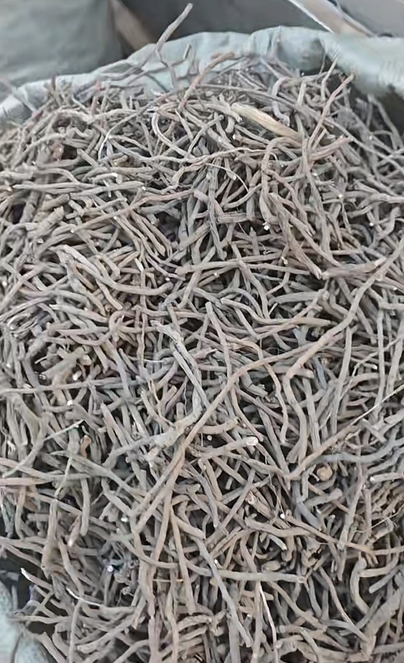 牡丹须子须段