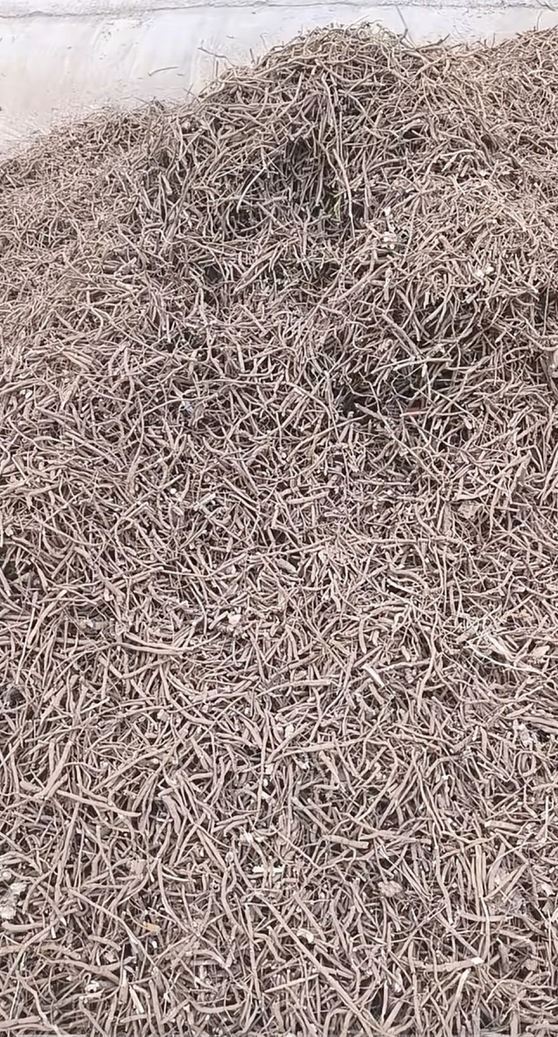牡丹须子须段