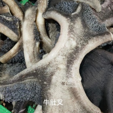 牛肚叉