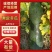 隆尧精品黑皮冬瓜大量上市，可装半挂，代发全国