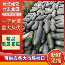 精品黑皮冬大量供应全国加工厂诚信经营欢迎咨询