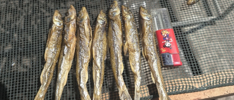 大号火焙棍子鱼干黑龙江野生鱼，鲜货加工，一手货源