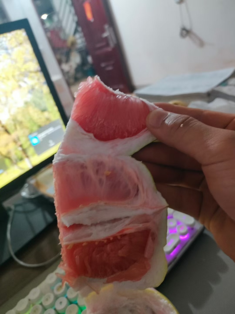 精品三红蜜柚