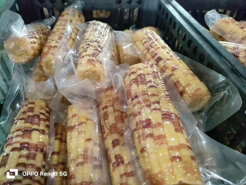 粘玉米现货发售